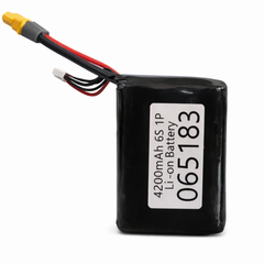4200mAh 6S 1P Li-on Battery