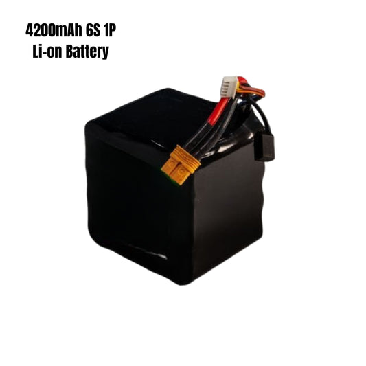 4200mAh 6S 1P Li-on Battery