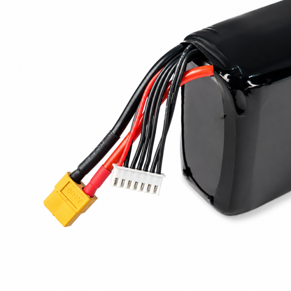 Hand Holding 8400mAh 6S2P Lithium-Ion Battery Pack with XT60 Connector