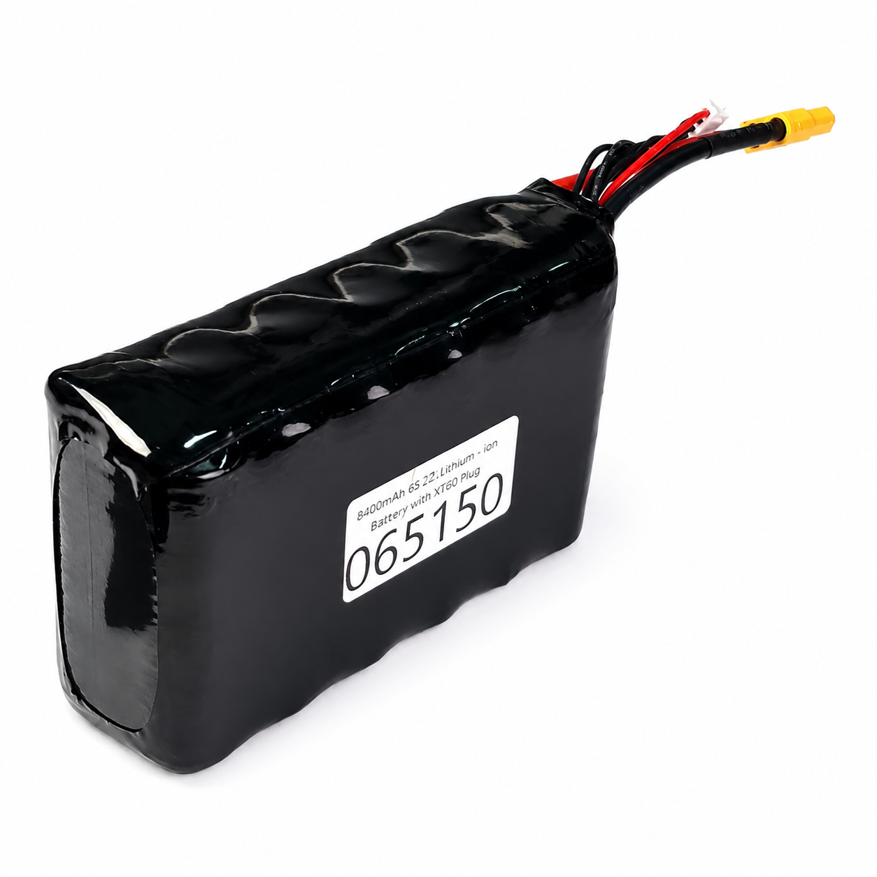 Top View of 8400mAh 6S2P Lithium-Ion Battery Pack with Molicel Cells