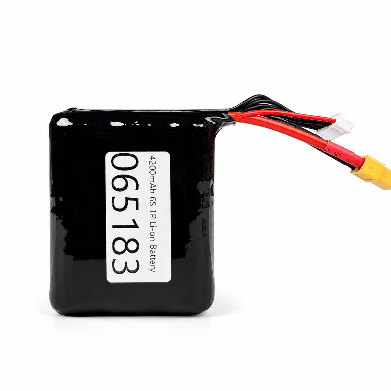 4200mAh 6S 1P Li-on Battery