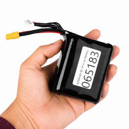 4200mAh 6S 1P Li-on Battery