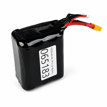 4200mAh 6S 1P Li-on Battery