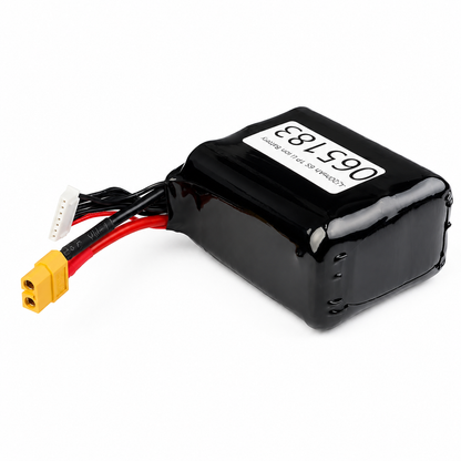 4200mAh 6S 1P Li-on Battery