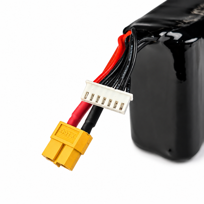 4200mAh 6S 1P Li-on Battery