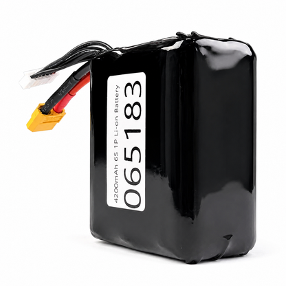 4200mAh 6S 1P Li-on Battery
