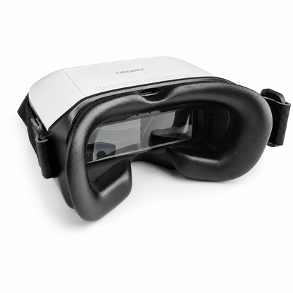 Walksnail Ascent FPV Goggles