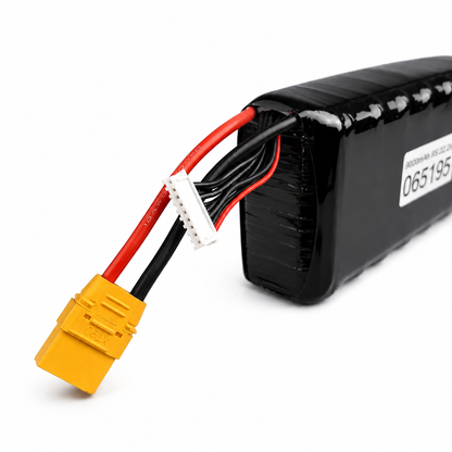 9000mAh 8S 2P Li-on Battery with XT90 Plug
