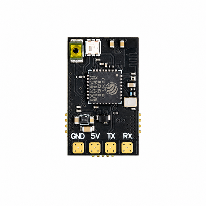 DakeFPV 2.4GHz 100mW ELRS Nano Receiver