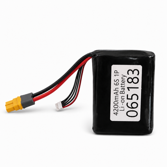 4200mAh 6S 1P Li-on Battery