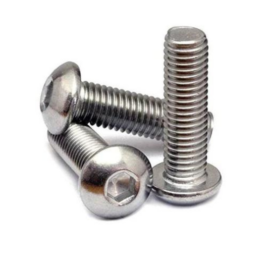 M3 x 10mm Stainless Steel Allen Screws (1pcs).